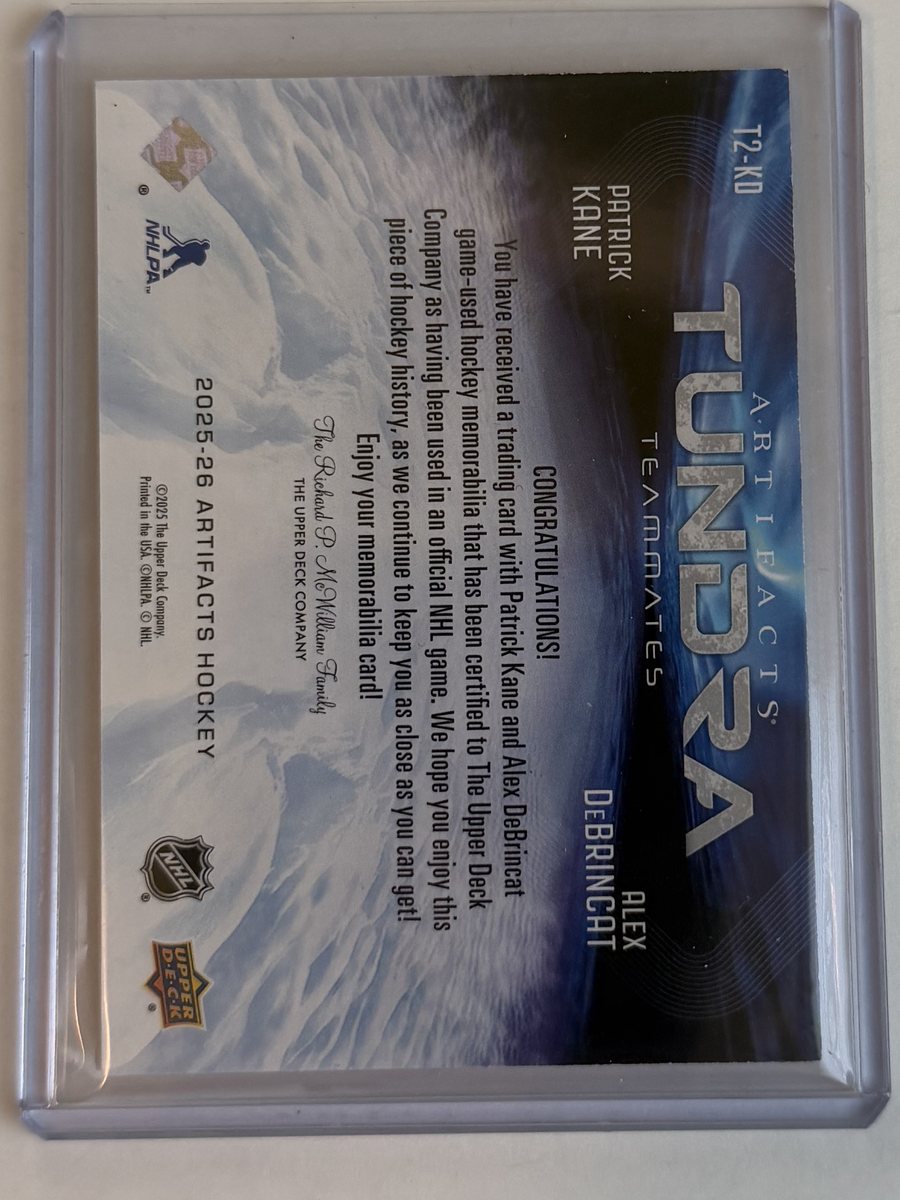 Kane / DeBrincat Artifacts Tundra Teammates — back